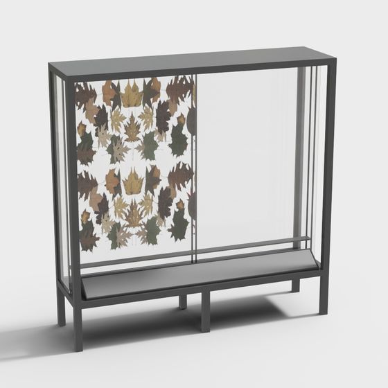 Hộp trưng bày mẫu vật