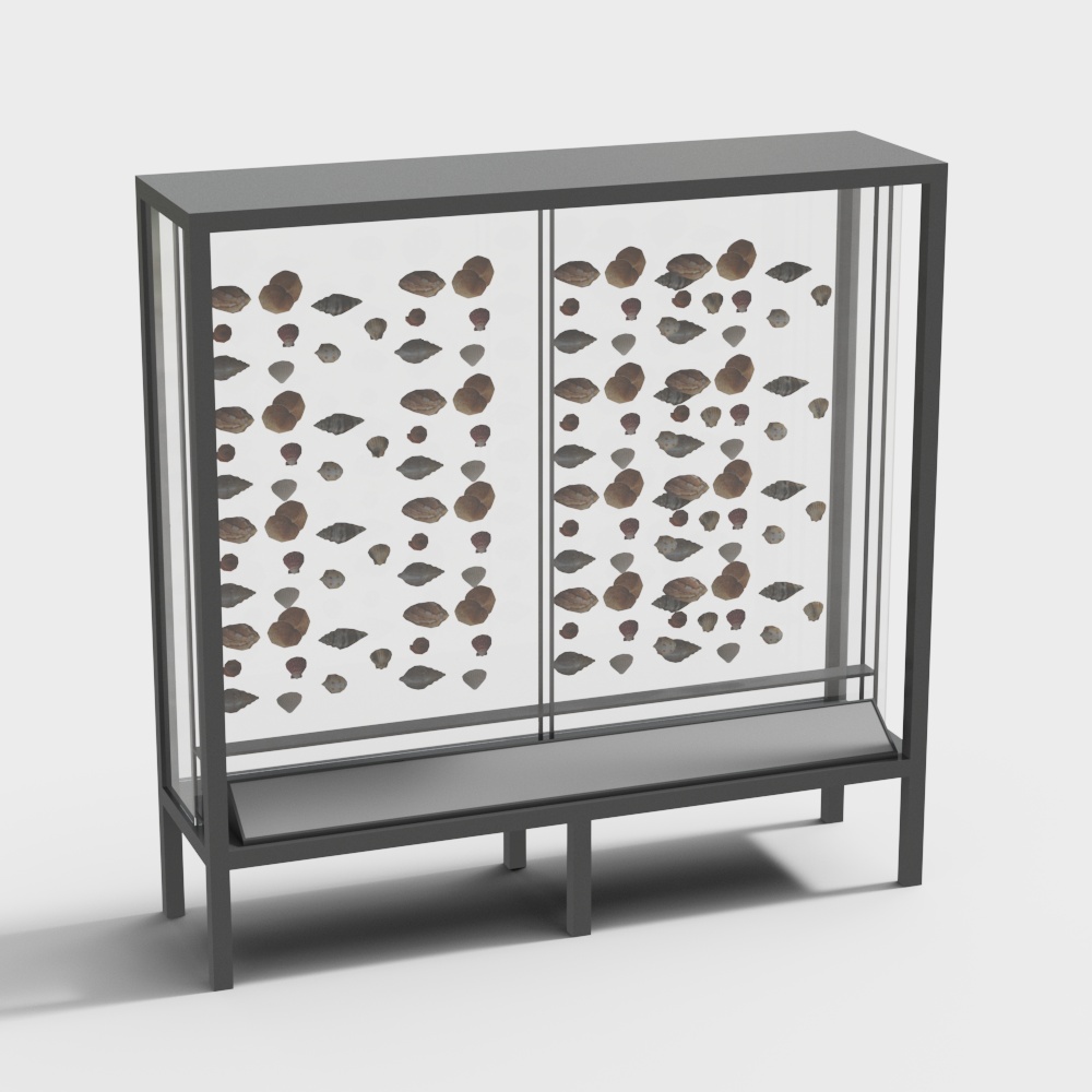 Specimen display case