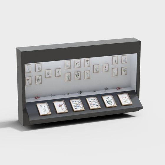 Specimen Display Case 3D Model in Gray Finish