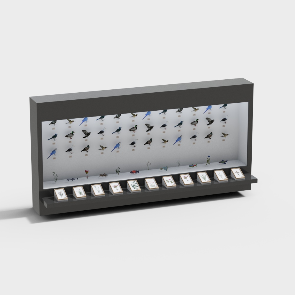 Bird Specimen Display 3D model