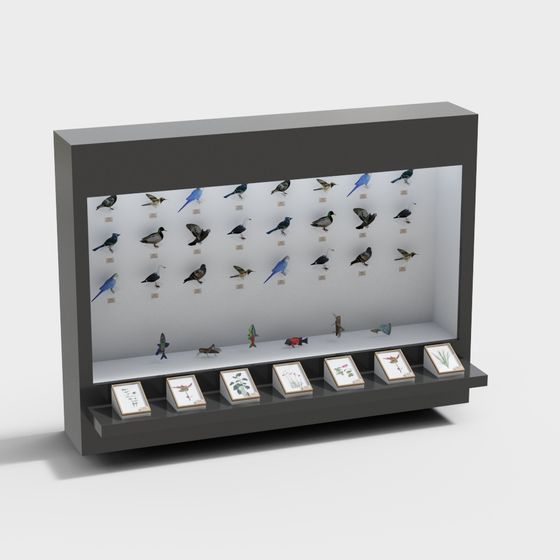 Nature Specimen Gallery 3D model
