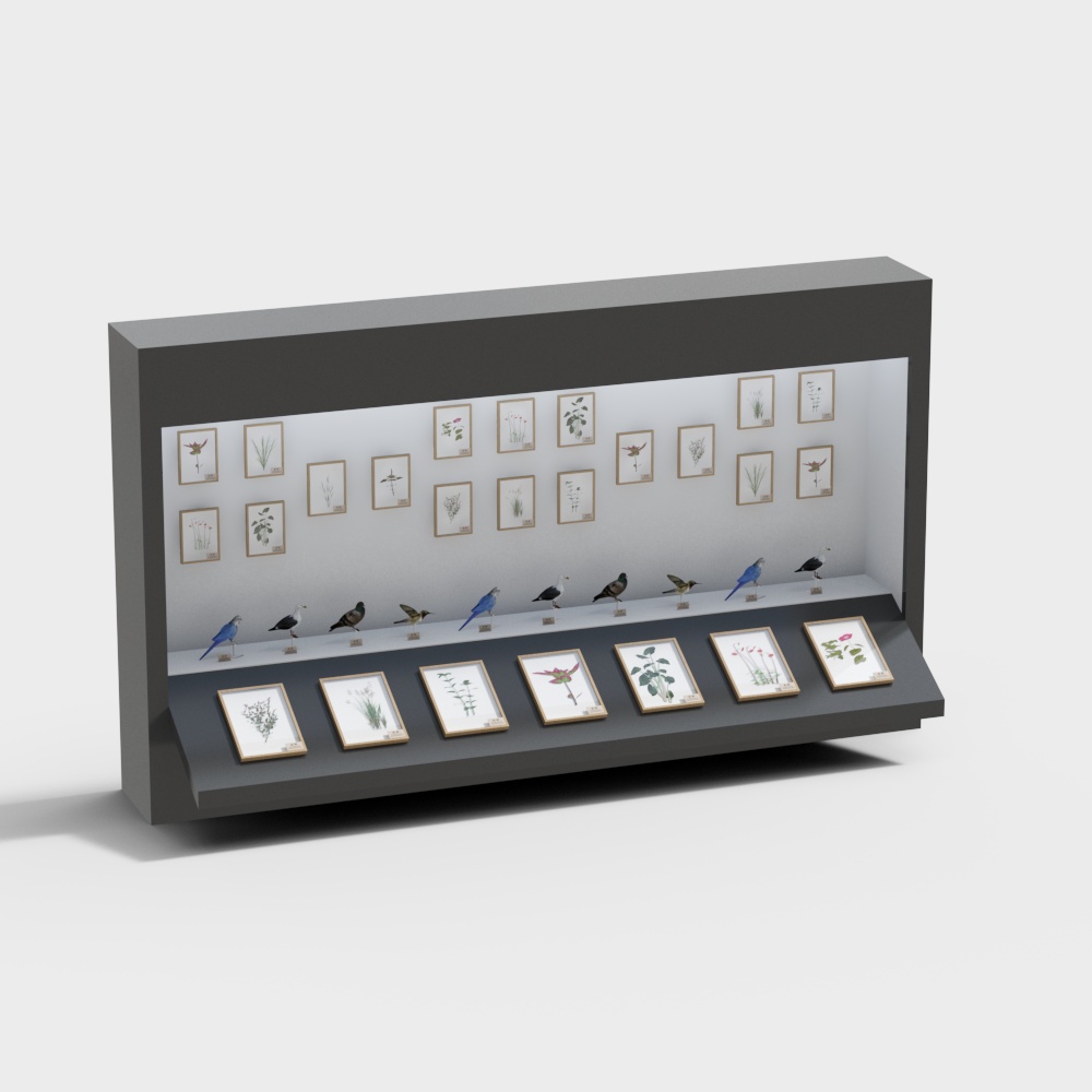 specimen display cabinet