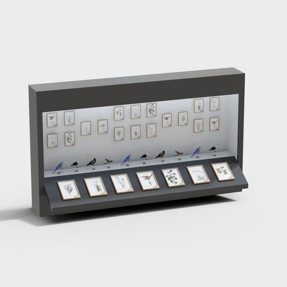 Nature Gallery Low-Poly 3D Model for Creative Projects