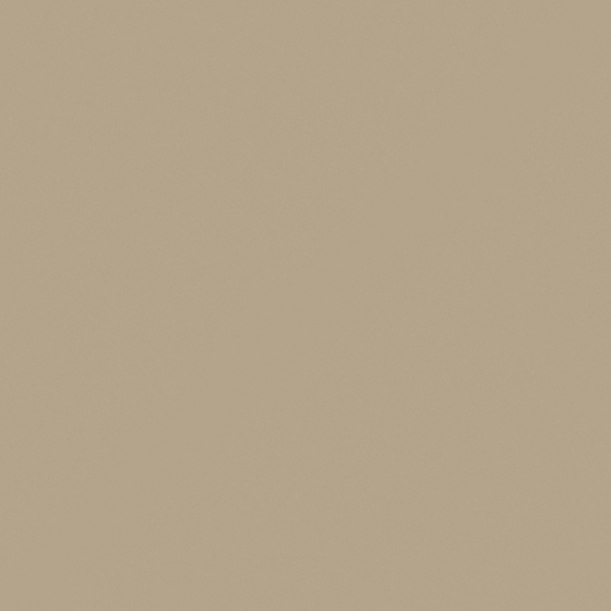 10399YG Brown Khaki 3D Model in Brown