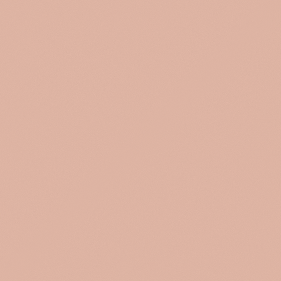10402YG Barbie Powder in Earth Color