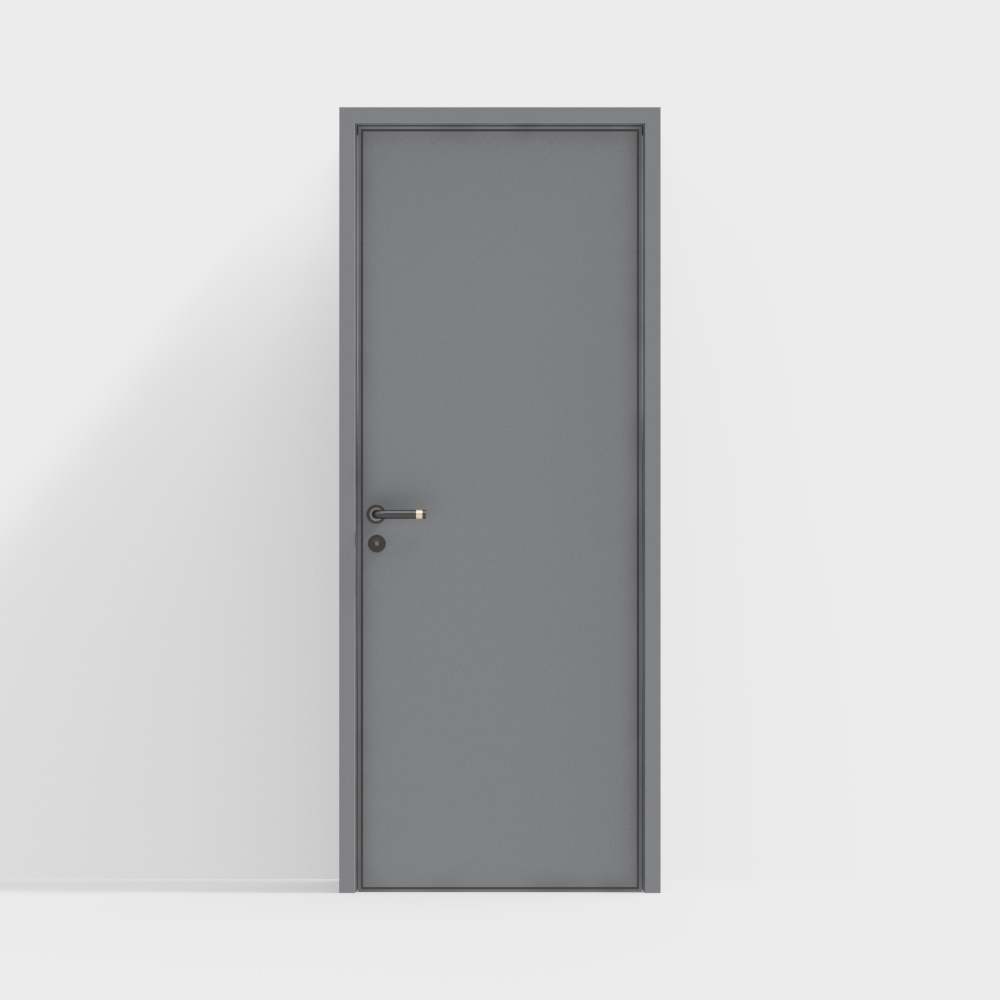 Modern minimalist interior door