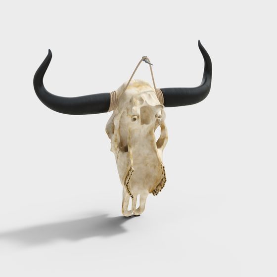 Prairie Guardian Bull Skull 3D model