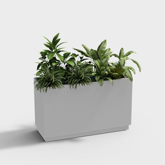 hộp hoa di động