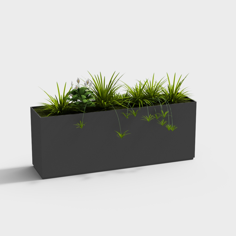 plant flower box