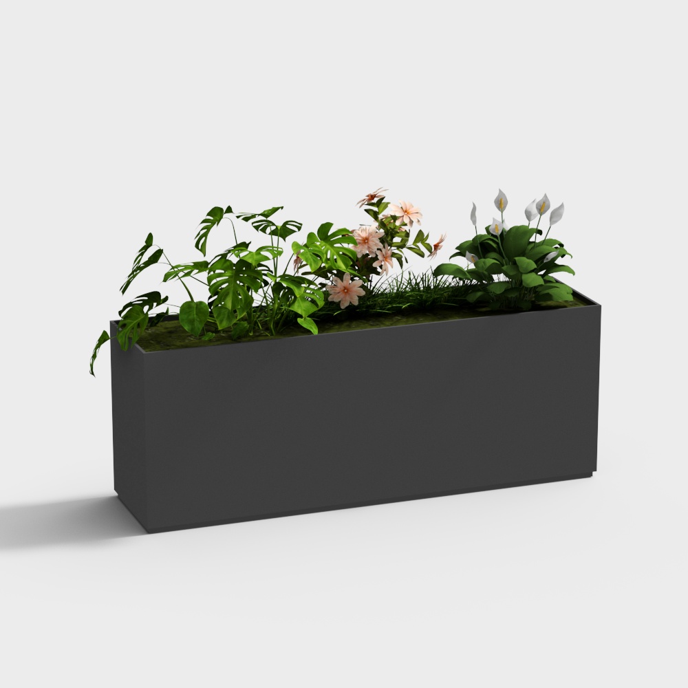plant flower box