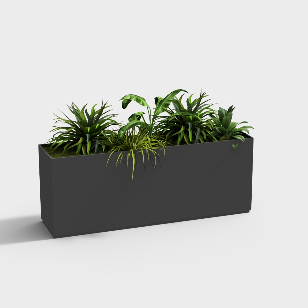plant flower box