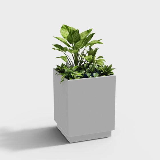 กล่องดอกไม้