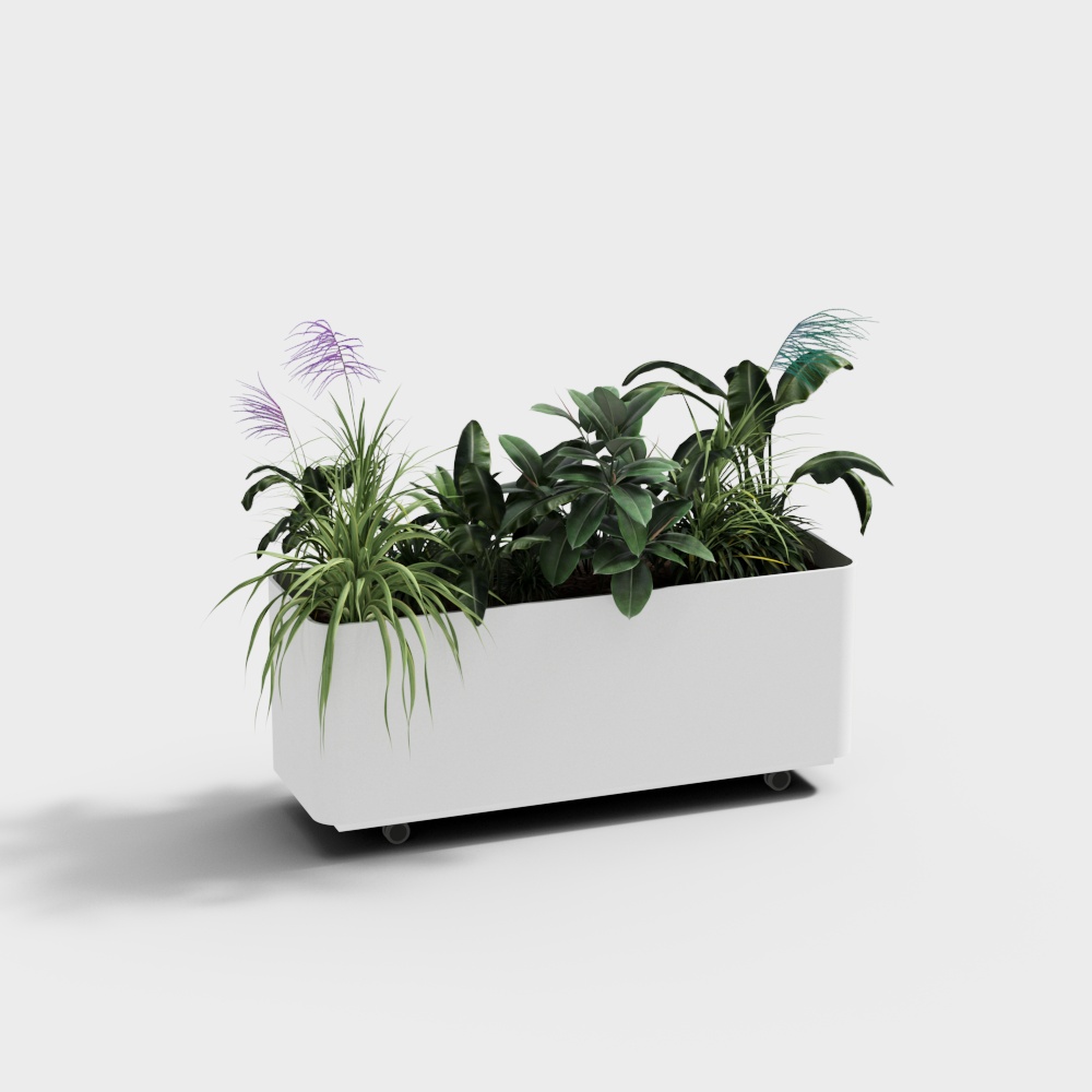white flower box