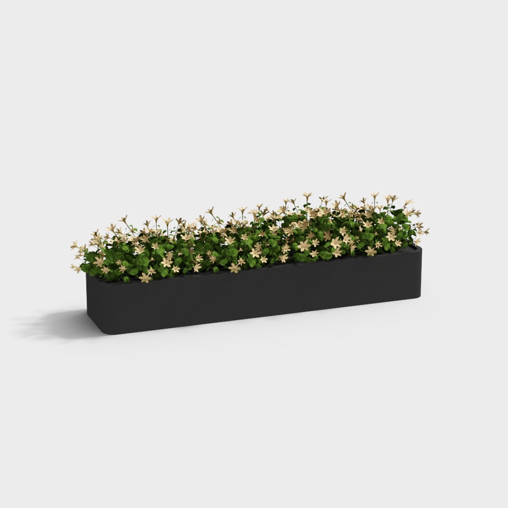 Outdoor green plant flower box