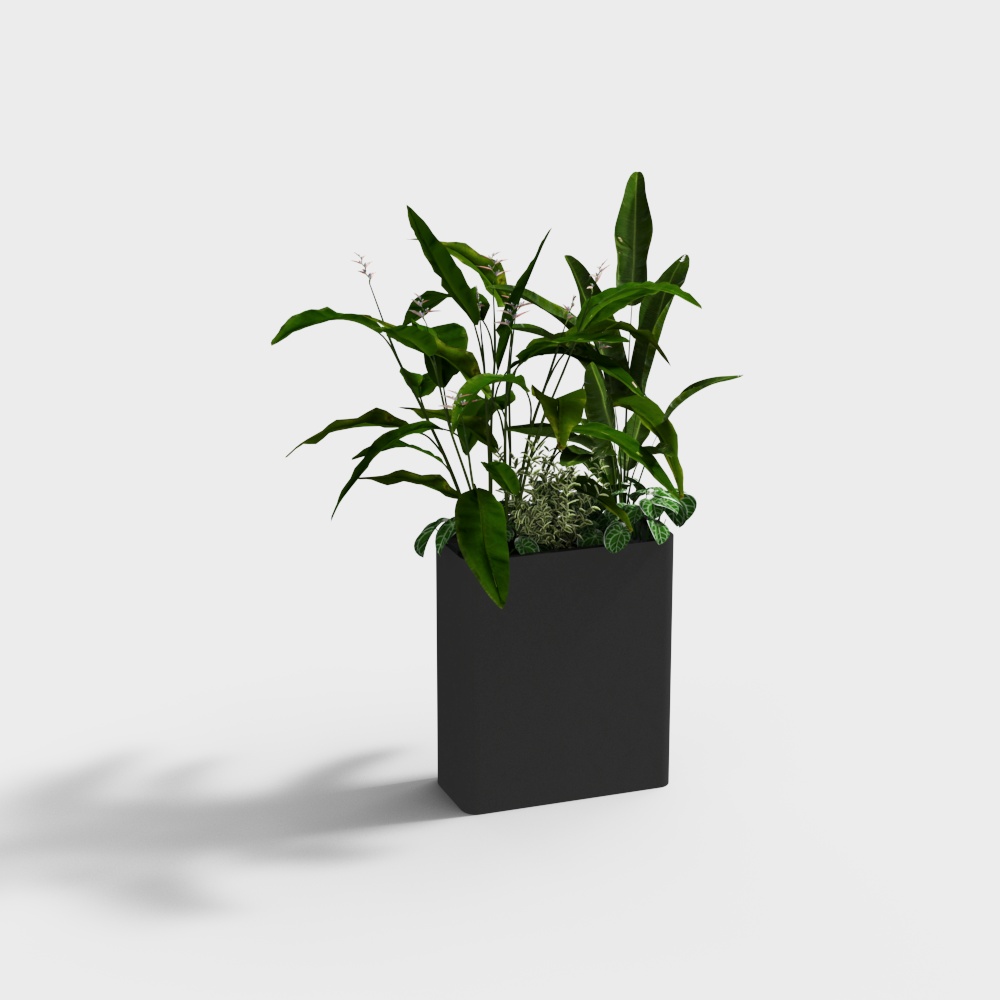 Outdoor green plant flower box