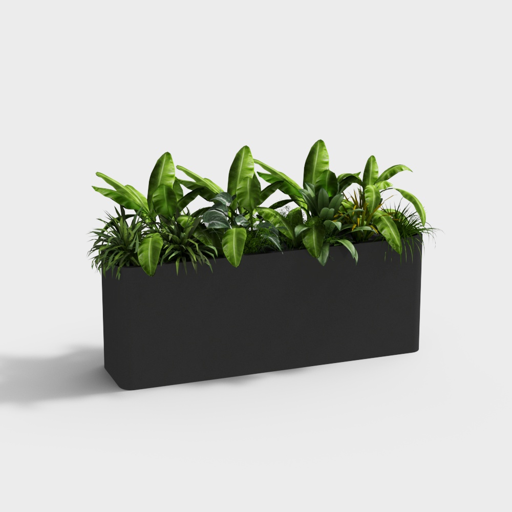 Outdoor green plant flower box