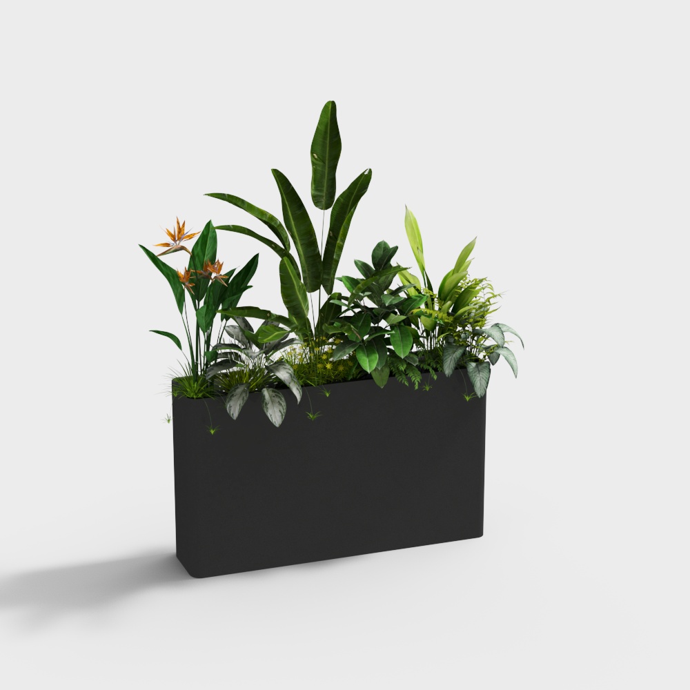 Caja de flores de planta verde al aire libre