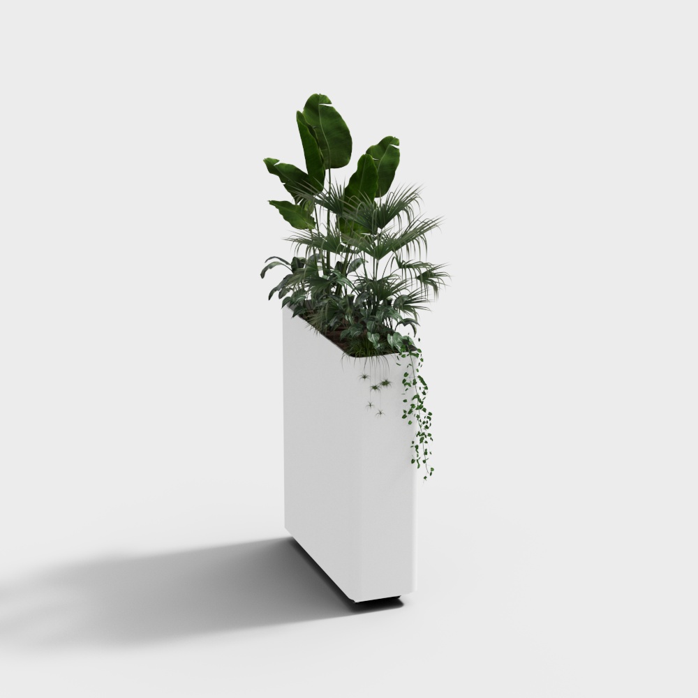 white flower box