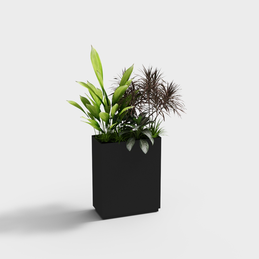 Chậu cây xanh chậu hoa