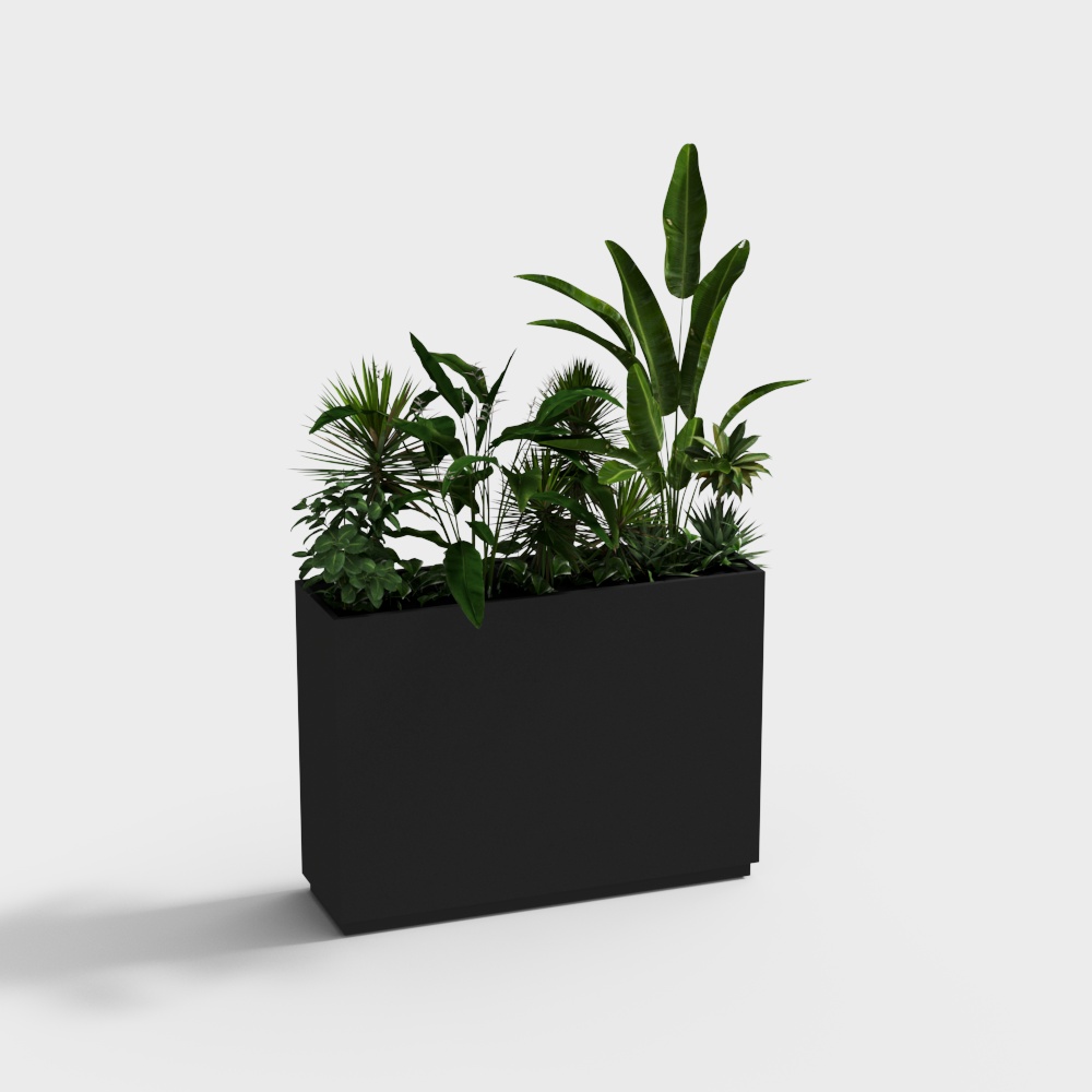 Maceta de plantas verdes