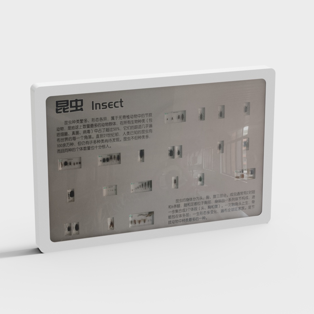 specimen display wall