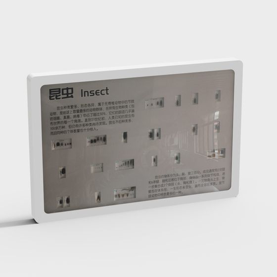 Stunning Insect 3D Model for Creative Projects