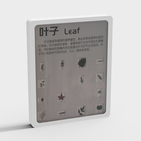 Leaf Display 3D model for Designers and Developers