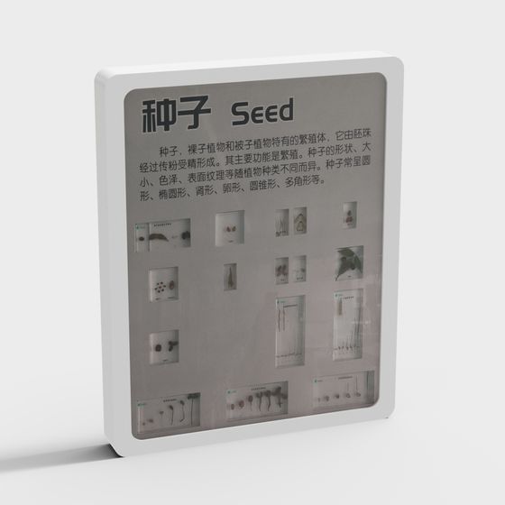 標本ディスプレイウォール