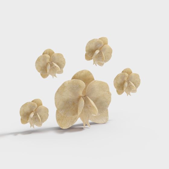 Dreamy Floating Petals 3D model