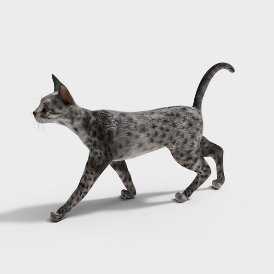 Walking Elegance 3D Model - Realistic Cat Design
