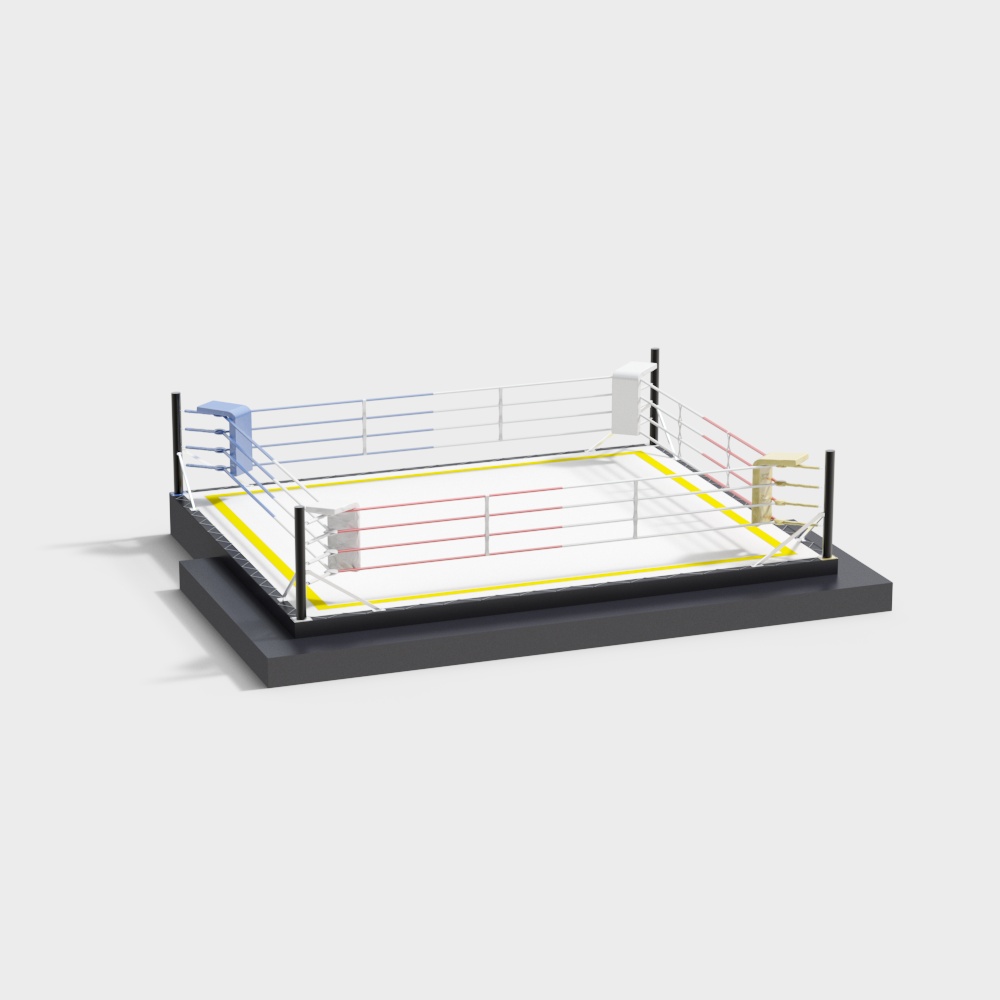 Gym boxing ring