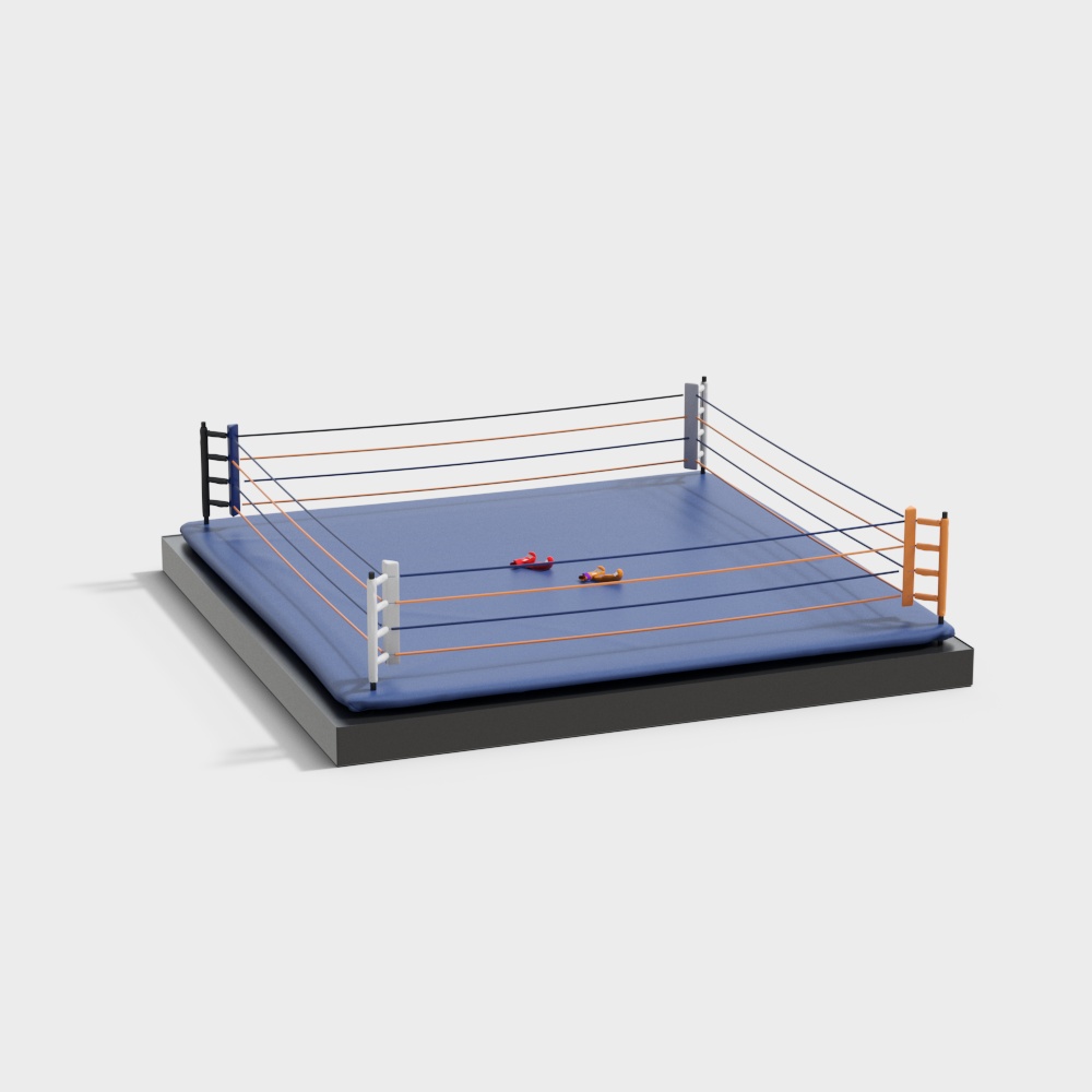 Fighting/boxing training ground ring