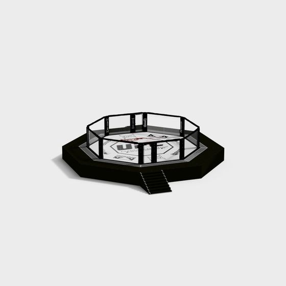 Octagonal Cage 3D Model for Dynamic Scenes