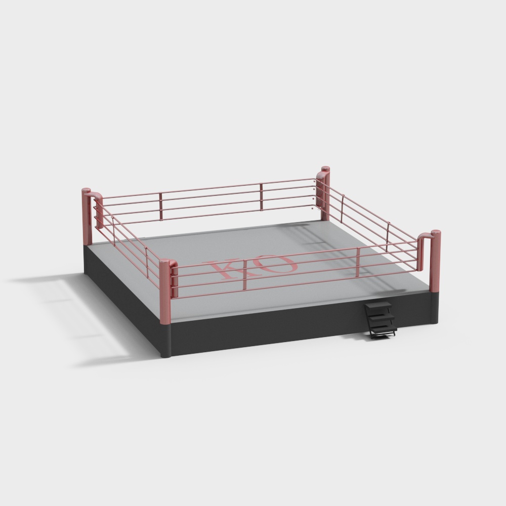 Gym boxing ring