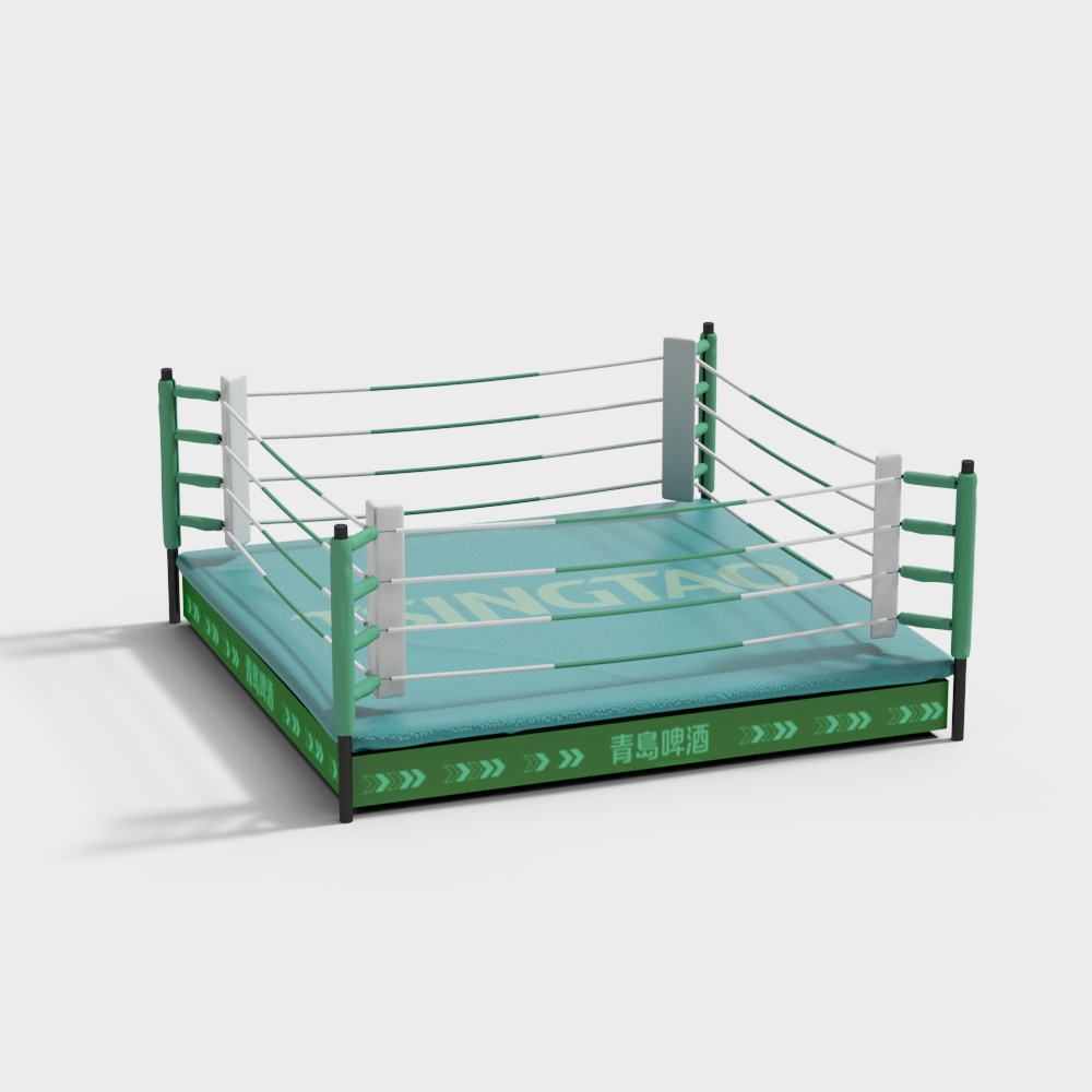 Boxing match ring