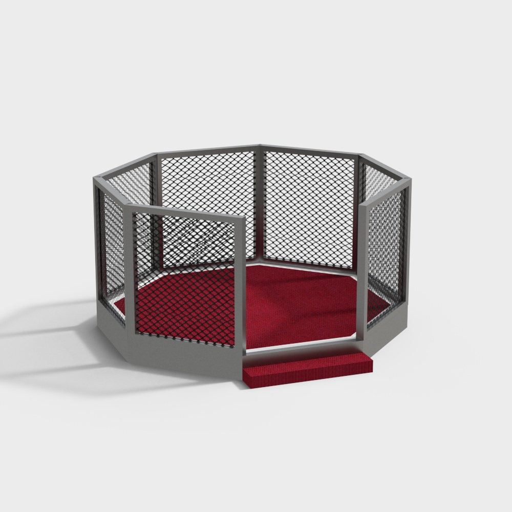 boxing fighting ring