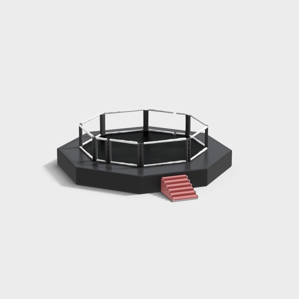 Fighting/boxing training ground ring