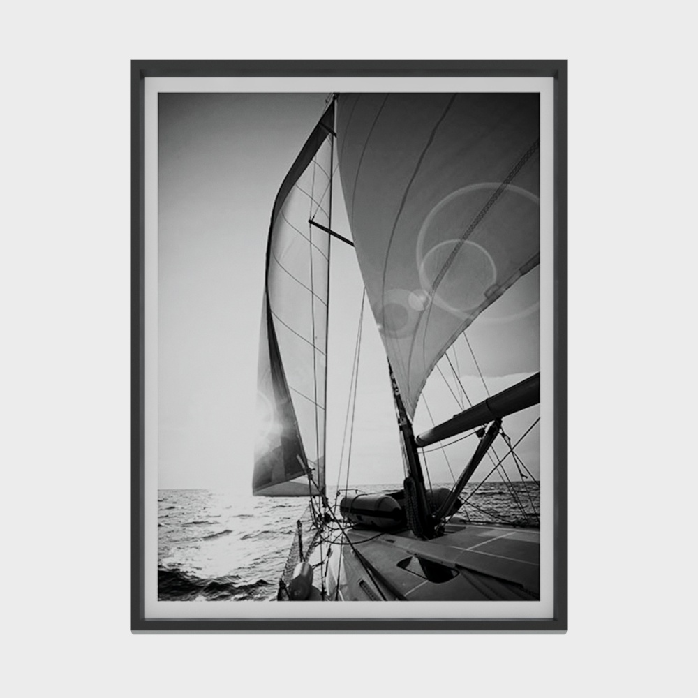 Wind Dancer 3D model - Sailing Beauty