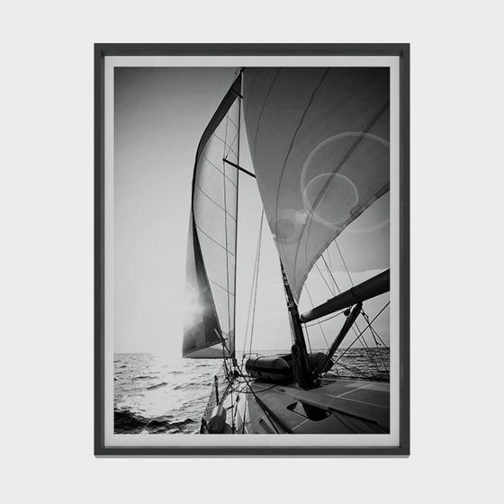 Wind Dancer 3D model - Sailing Beauty