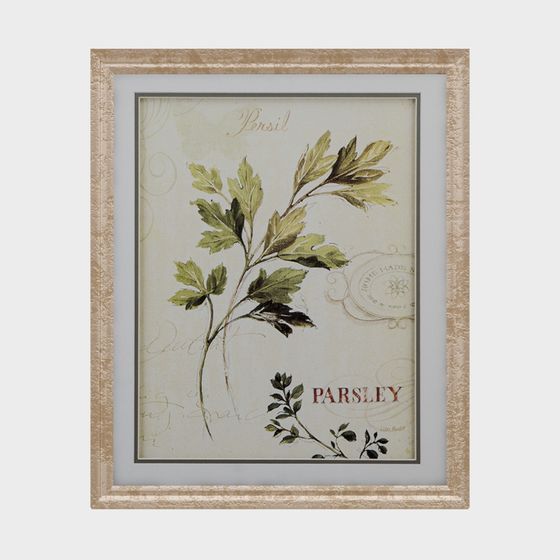 Classic Parsley Framed Art 3D Model