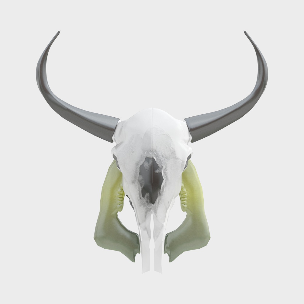 Canyon Spirit 3D Model