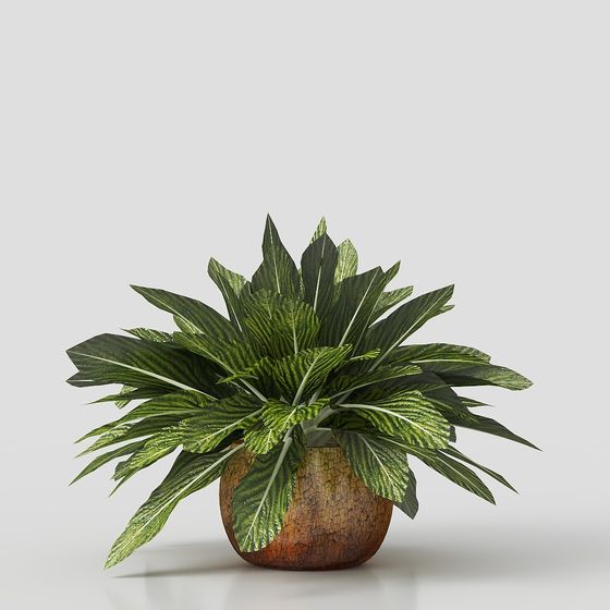 Tropical Green Plant Pot 3D Model