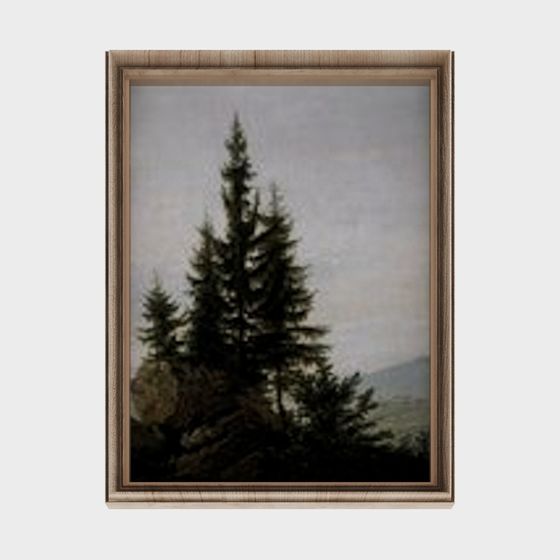 Misty Pine Forest 3D model