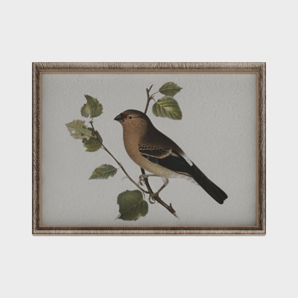 American decorative painting