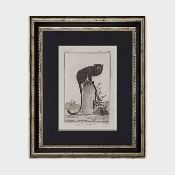 Black Monkey Ancient Painting 3D model