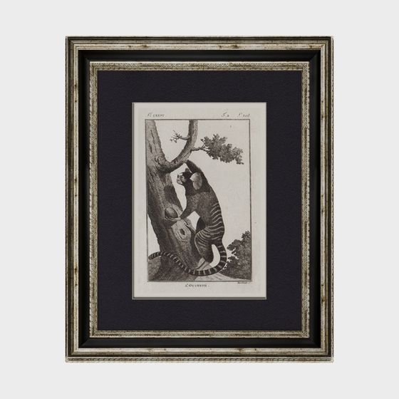 Charming Cat in Tree 3D Model