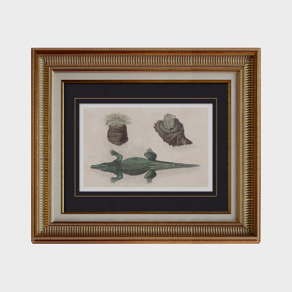 American retro decorative painting