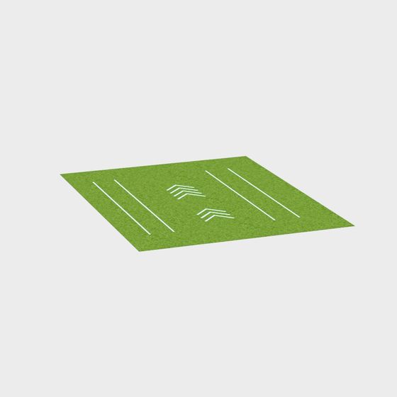 Realistic Grass Track 3D model for Creative Projects