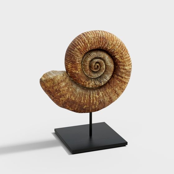 Realistic Fossil Snail 3D model