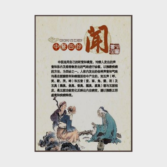 Traditional Chinese Medicine Four Examinations 3D model